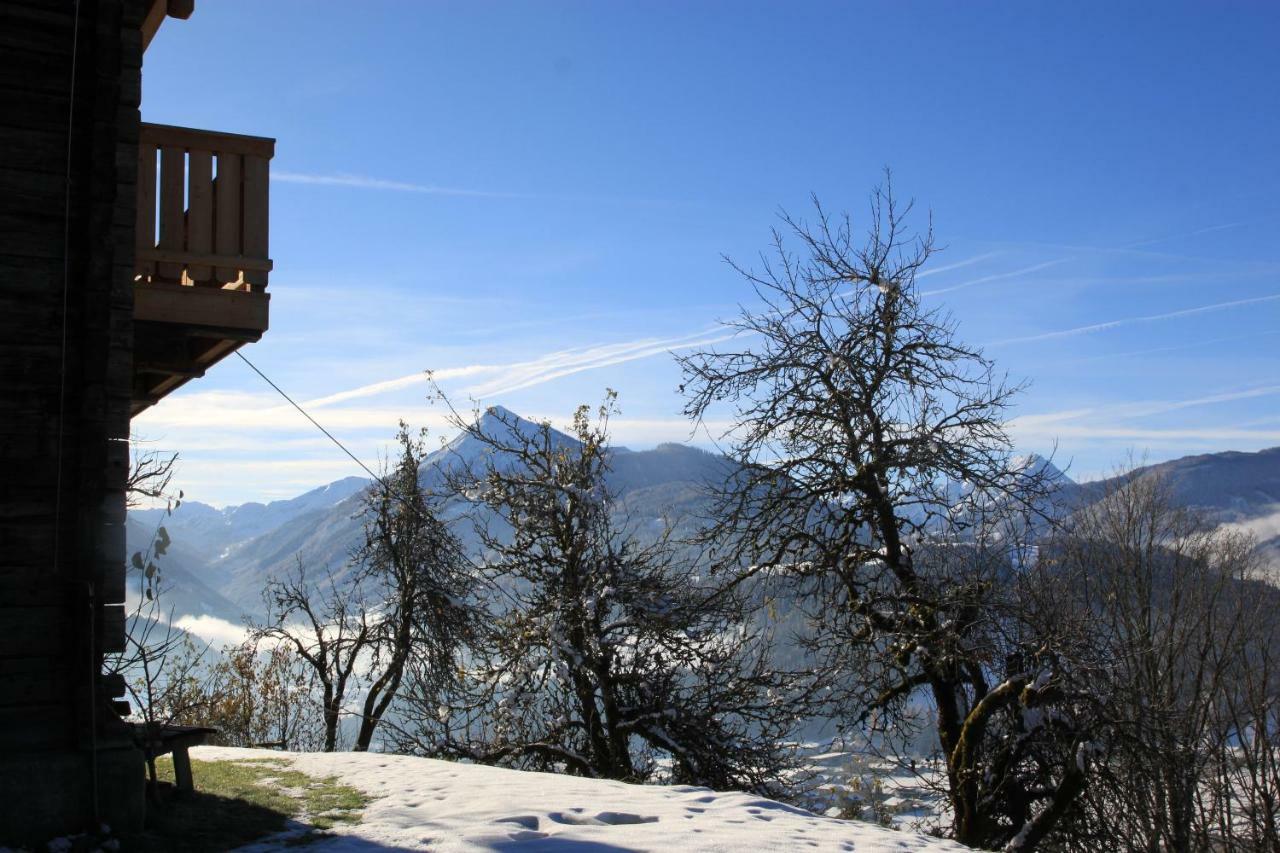 Apartment Poetzelberghof Altenmarkt im Pongau Exterior photo